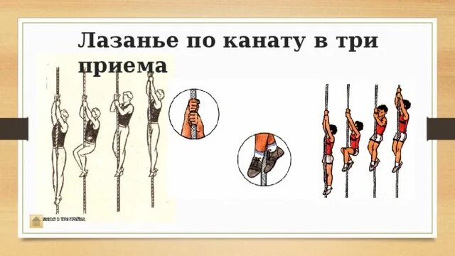 Лазание по канату способствует развитию силы. Лазание по канату. лазанье по канату в три приёма. лазание по канату в два и три приема. техника лазания по канату в два приема.