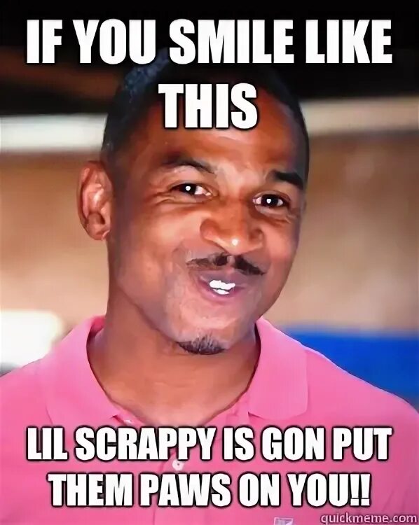 Smile like this. Котик с фотиком. Smile like this. Smile like this. Смайлик лайк.