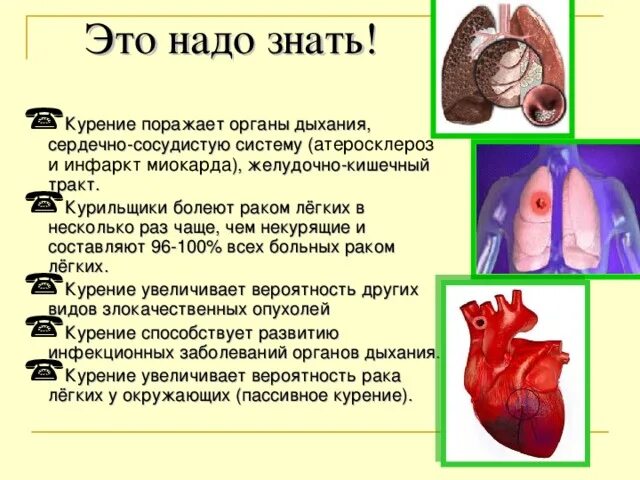 Легкими в несколько раз