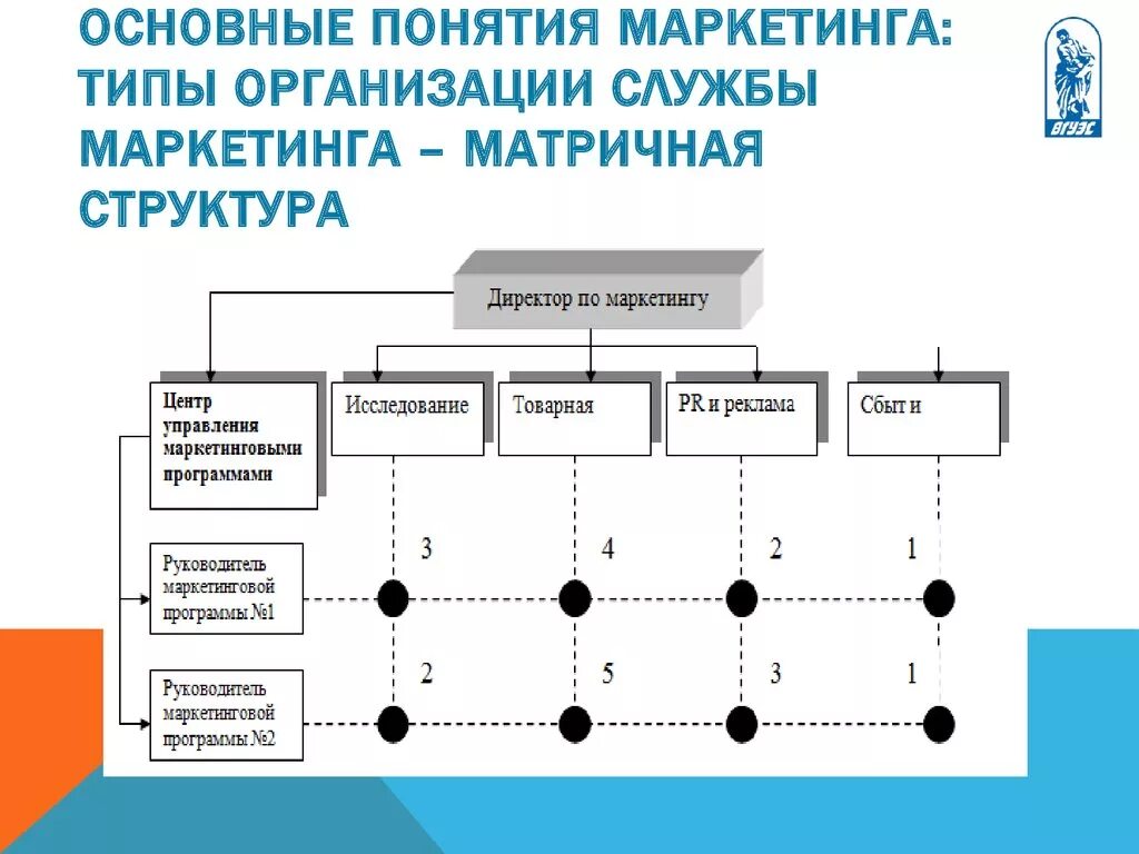 Организация торговой службы. Организационная структура маркетинговой фирмы. Организационная структура отдела маркетинга. Функциональная организация службы маркетинга схема. Рыночная структура организации службы маркетинга это.