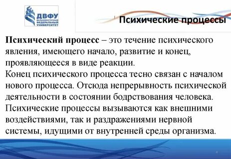 Психические процессы в деятельности человека