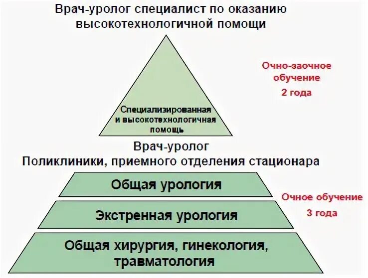 Программа обучения врача. Этапы обучения на врача. Образование врачей этапы. Ступень подготовки врачей. Этапы учебы медиков.