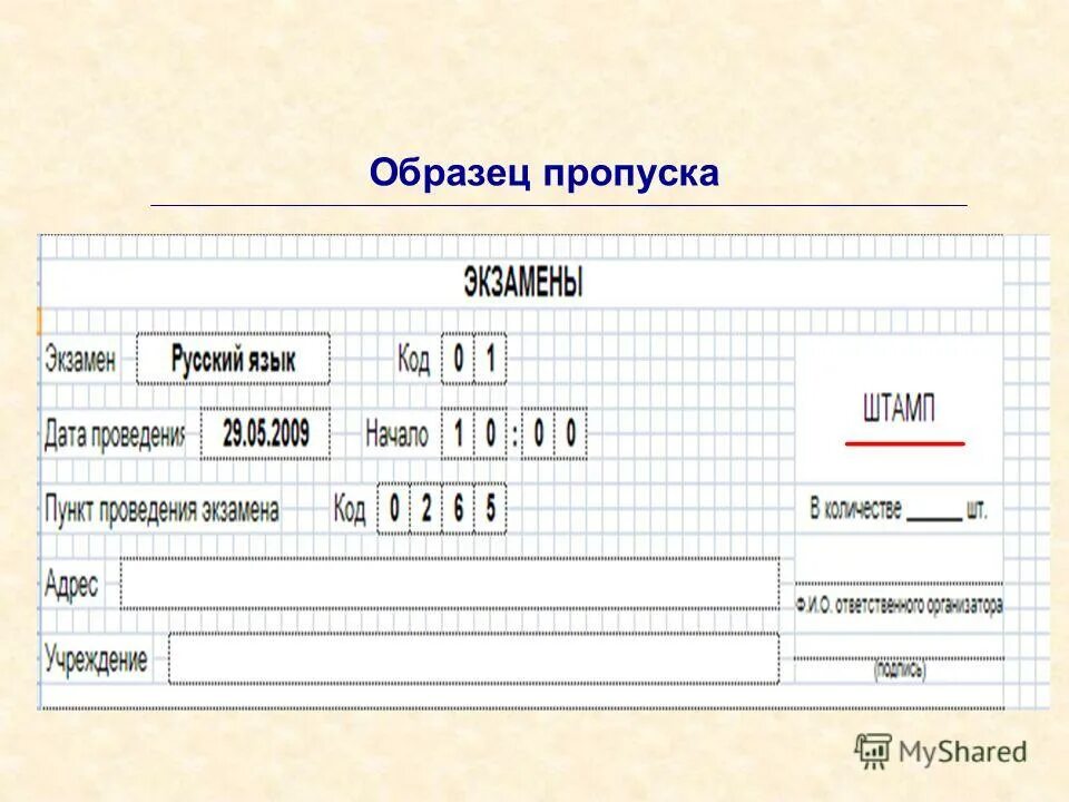 Пропуск образец. Пропуск на объект образец. Формы пропусков для предприятия. Временные пропуска образец.