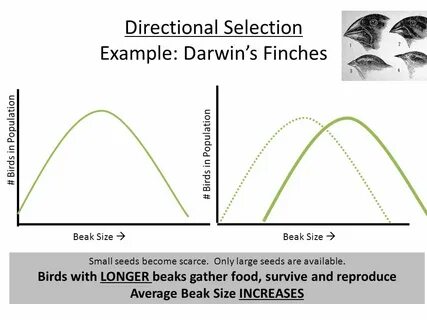 Sampling selection
