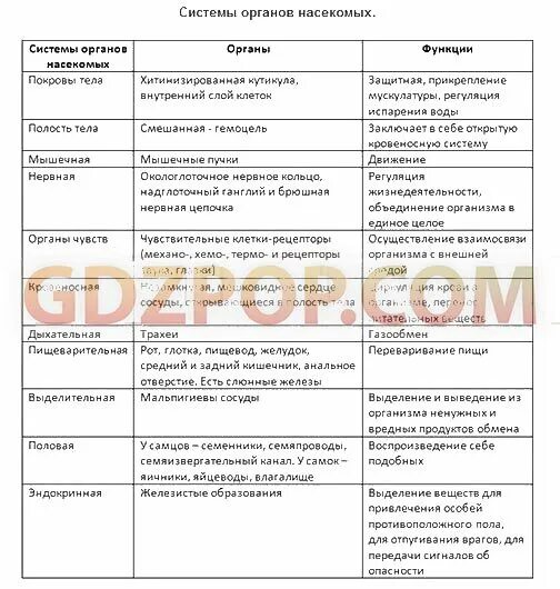 Покровы тела животных 8 класс биология таблица