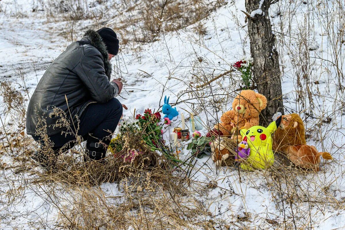 Собаки насмерть загрызли девочку. Бродячие собаки нападают. В забайкалье девочку загрызли собаки. Собаки загрызли семилетнюю девочку. Чита собаки загрызли девочку.