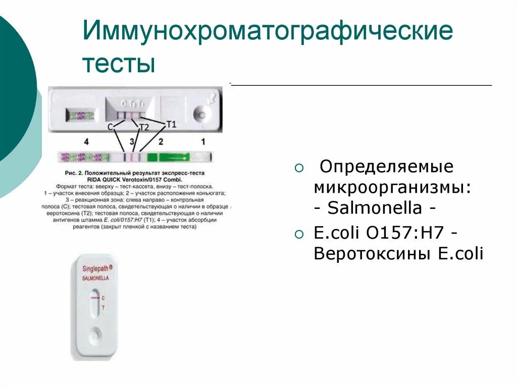 Иммунохроматографического анализа экспресс тест