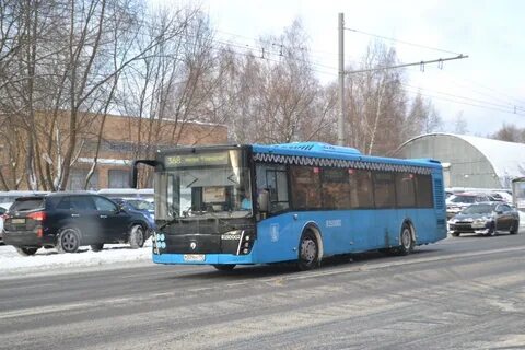 Автобус 959 митино
