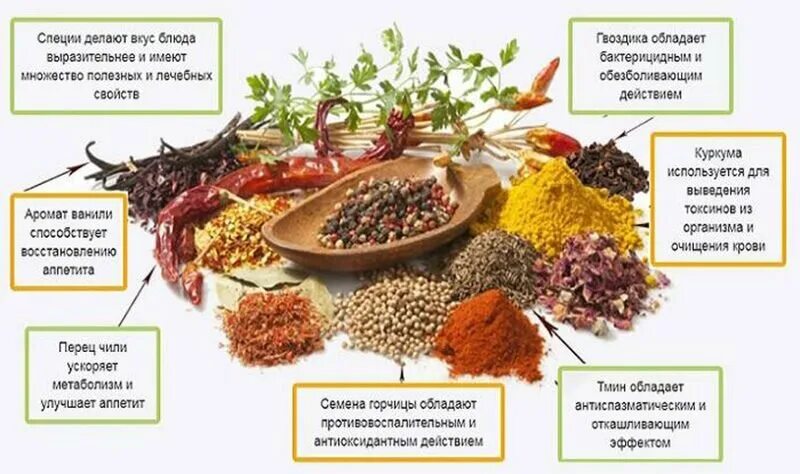 Какие приправы для печени. Специи. Полезные специи. Полезные свойства пряностей. Приправы для организма человека.