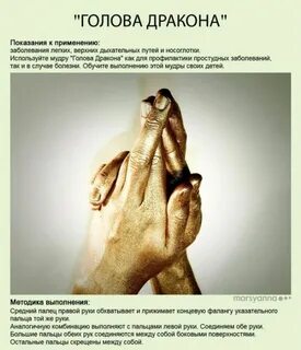 Мудра жизни описание