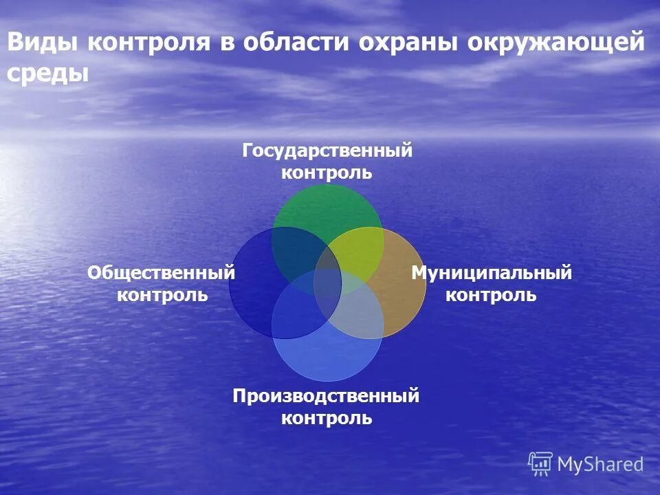 Network monitoring tool. Сетевые сервисы. Types of monitors. Types of monitoring. Types of monitoring.