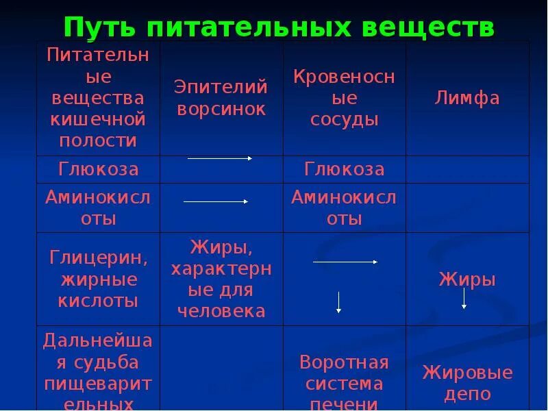 Путь питательных веществ. Путь питательных веществ в организме человека. Путь питательных веществ в организме человека схема. Путь питательных веществ в организме человека 3 класс. Выберите биогенные вещества