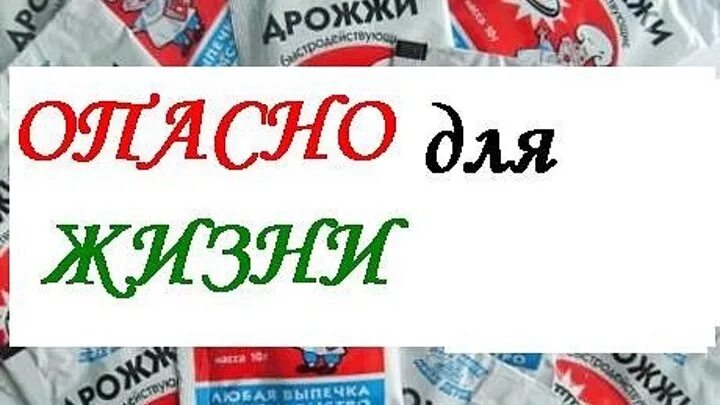 Термофильные дрожжи. Дрожжи хлебопекарные термофильные. Как выглядят термофильные дрожжи. Термофильные дрожжи убийцы. Термофильные дрожжи это