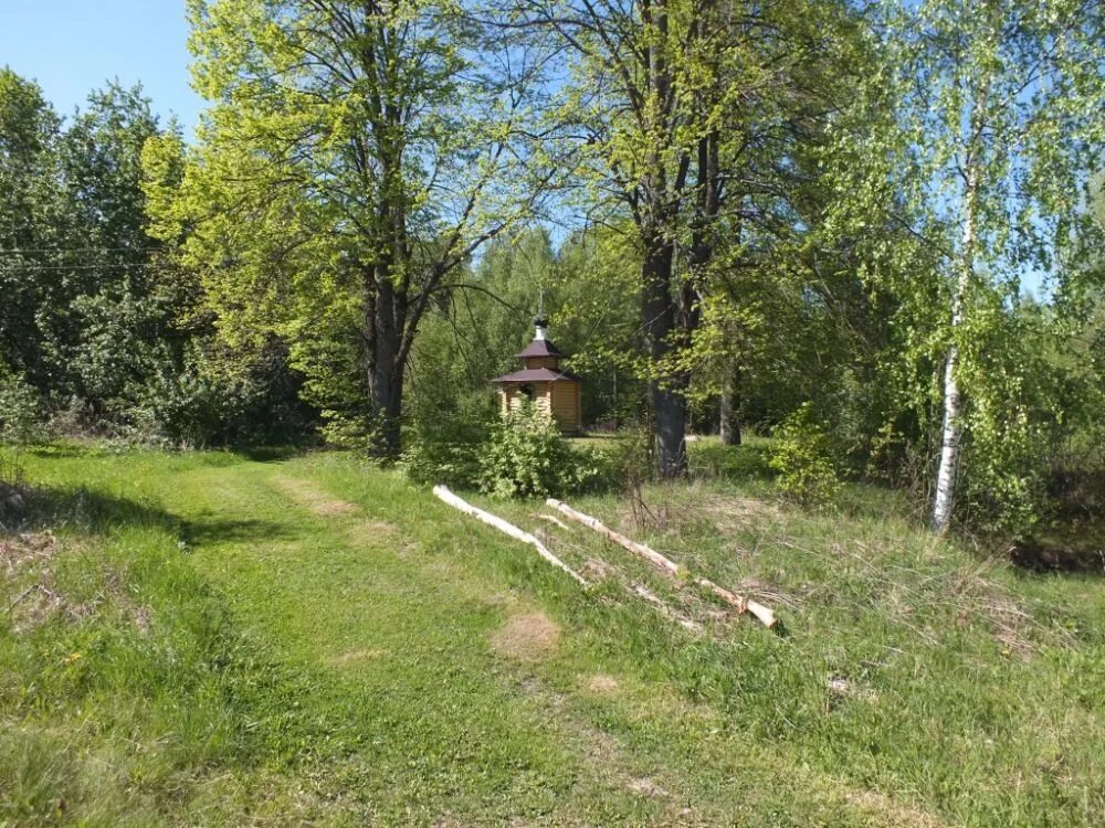 Окрестности деревни. Боровщина смоленская область. Озеро старица разнежье. Пгт озерный смоленская область. Долгое смоленская область.