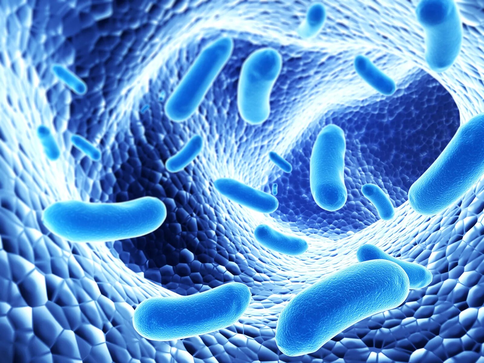 Mineral probiotic fractions