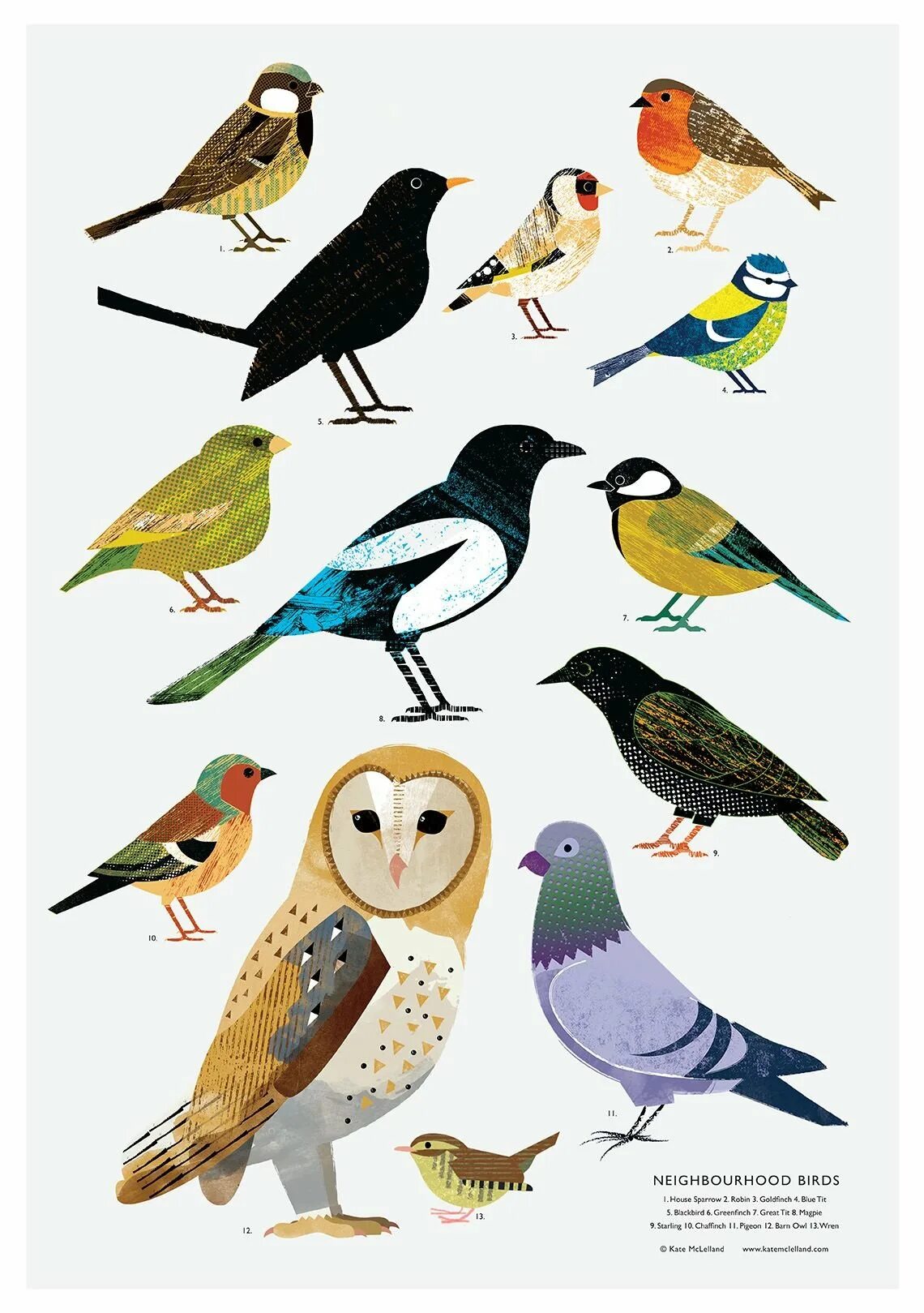 Городские птицы. Изображение птиц. Птицы в городе. Птица иллюстрация. Птицы картинки для вырезания цветные детей распечатать