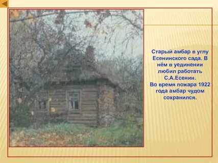 Стих амбар автор