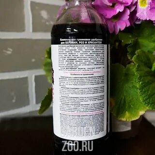 Удобрение для бегонии