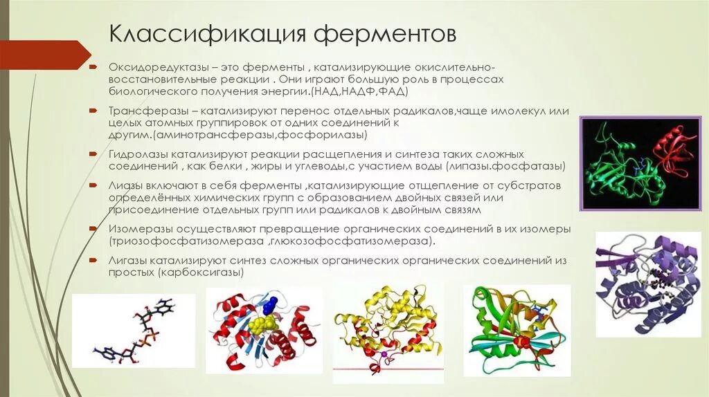 Реакция с участием фермента. Классификация ферментов. Классификация ферментов оксидоредуктазы трансферазы. Клссификацияферментов. Классификация ферме ов.