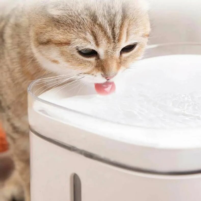 Xiaomi Mijia Smart Pet Water Dispenser xwwf01mg. Умная поилка для животных Xiaomi Mijia Smart Pet Water Dispenser. Поилка умная Xiaomi Smart Pet Fountain. Поилка фонтан для кошек Xiaomi. Xiaomi pet fountain