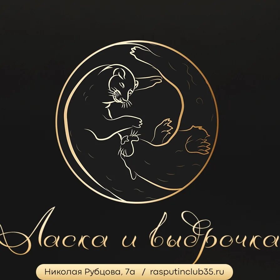 Сиамский горностай. Ласка вологда. Норка американская (neovison vison). Ласка вологда. Ласка в подмосковье.