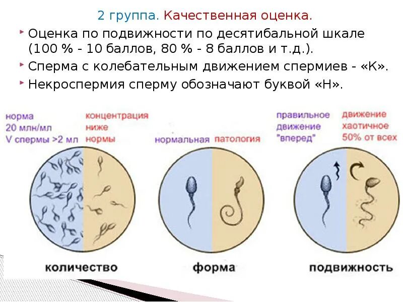Как узнать есть ли у мужчины