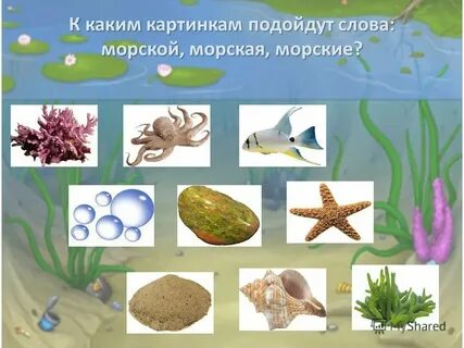 Длинное морское слово