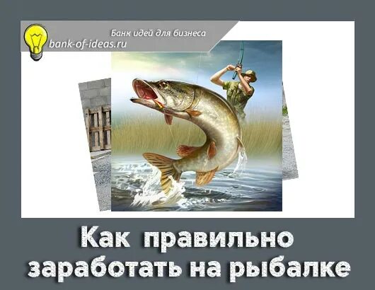 Самая прибыльная работа охота радмир. Сколько можно заработать на рыбалке. Рыбалка на ловати. Сколько можно заработать на рыбалке. Фото с рыбалки любительские.
