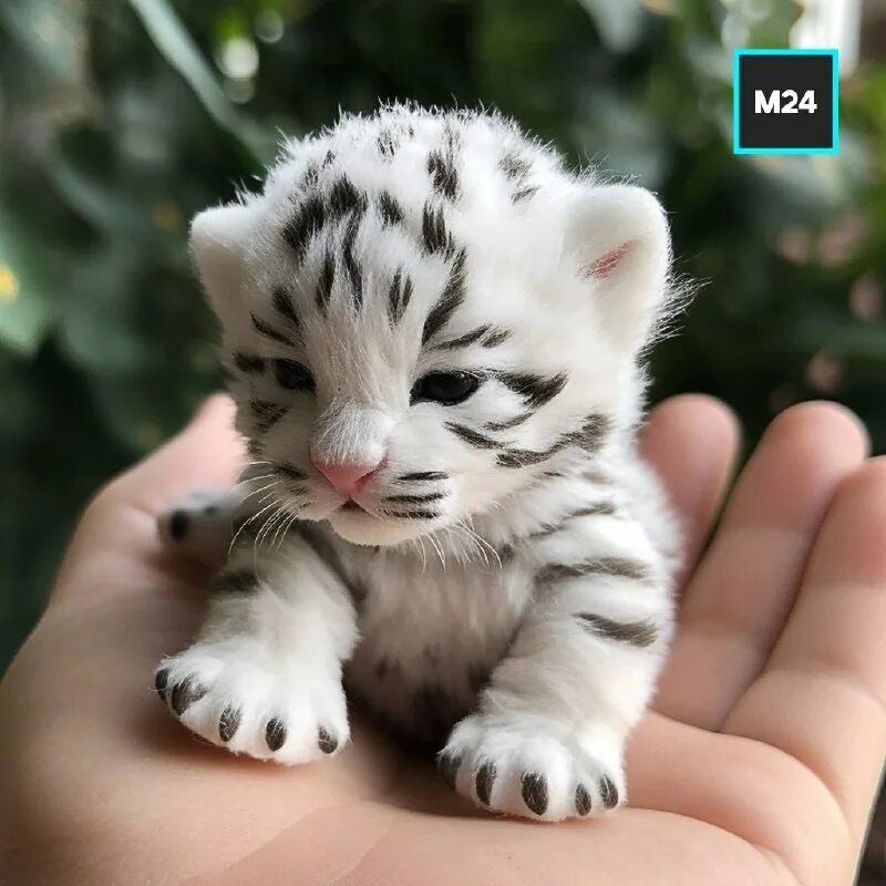 Игрушки которые похожи на настоящих. Настоящие питомцы. Пластмассовые игрушки животные. Мини копии собак. Анаконда» — причудливо крутящая посетителей горка.