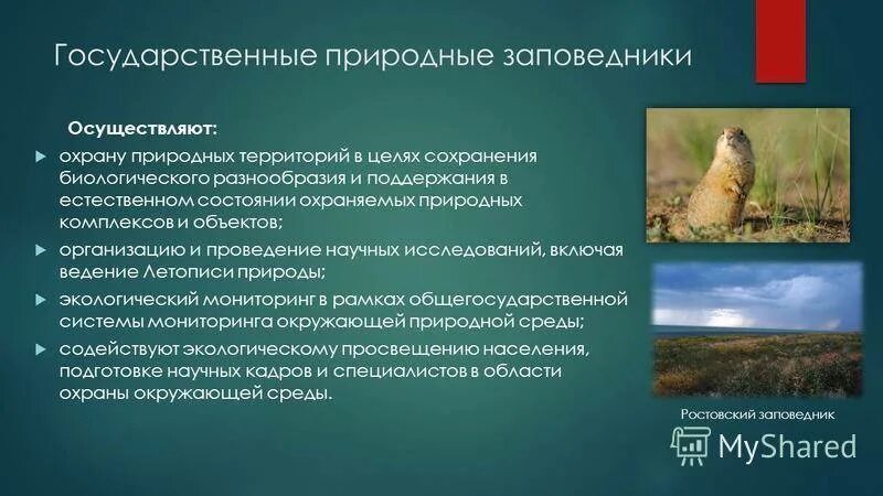 Значение природных парков