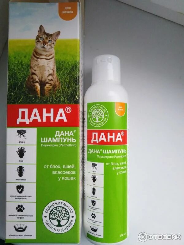 Шампунь от блох для кошек какой лучше. Шампунь от блох для кошек какой лучше