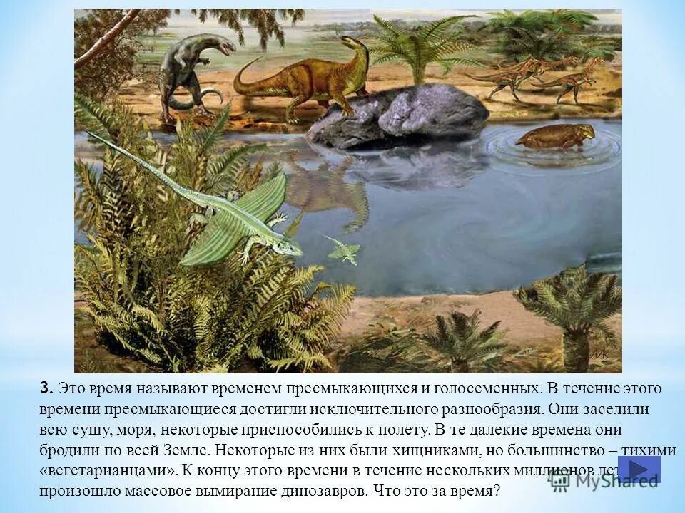 триасовый юрский и меловой периоды таблица. пермский период массовое пермское вымирание. вымершие семенные папоротники. пермский период палеозойской эры. голосеменные триас юра.