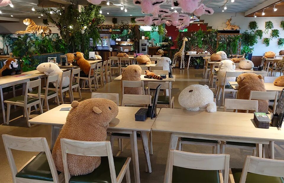 coffee's shop's Capybara in specifics, Gagarina Street, 18 - Yandex Maps