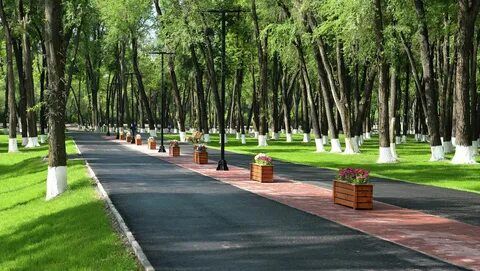 Скверов парков и садов городская