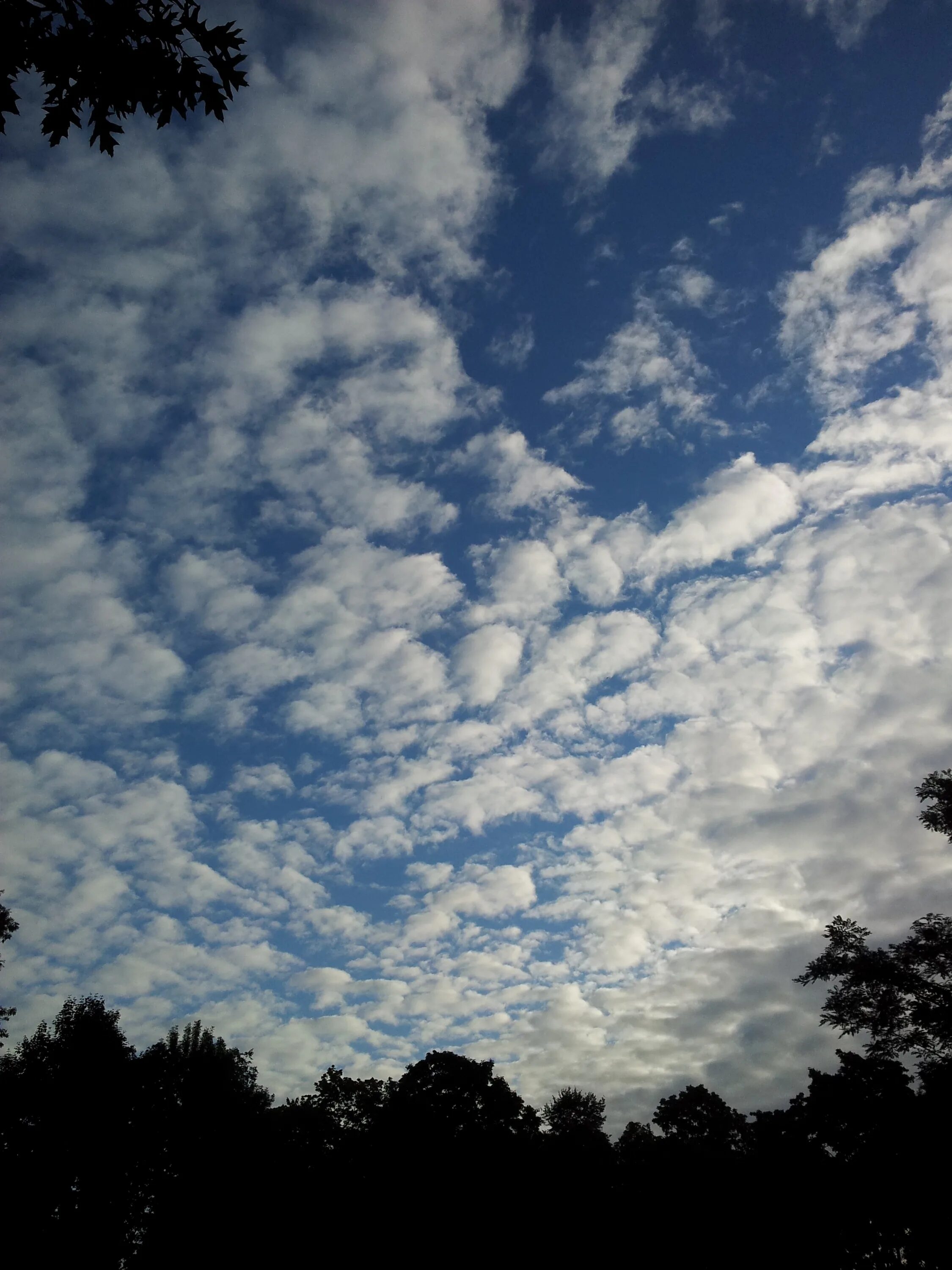 Кучевые облака. Пасмурное небо. Красивые облака. Небо с кучевыми облаками.