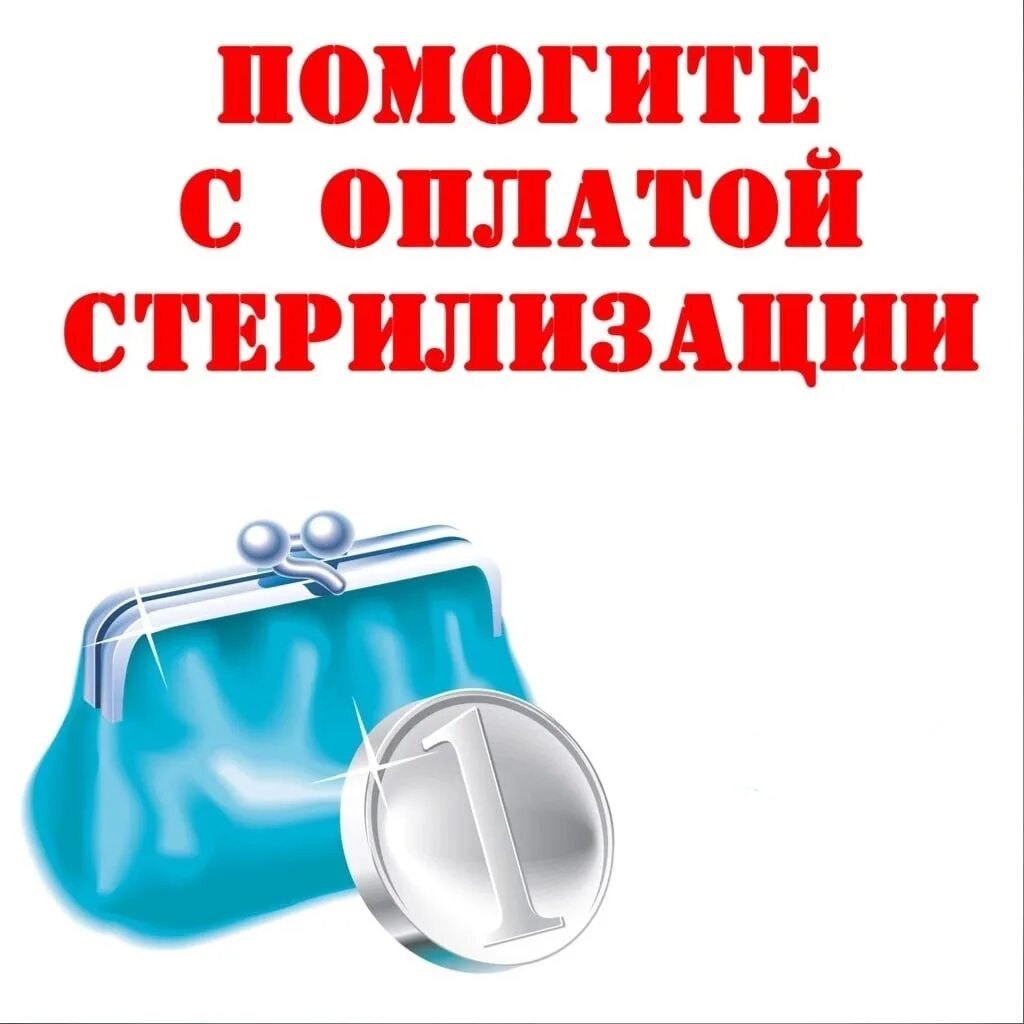 Сбор средств на стерилизацию. Помогите оплатить стерилизацию. Помогите с оплатой стерилизации. Помогите на стерилизацию. Надпись стерильно