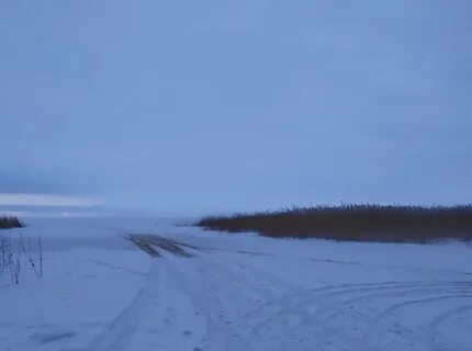 11 км ладожский