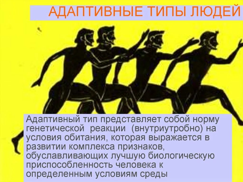 Картинки ОСНОВНЫЕ АДАПТИВНЫЕ ТИПЫ