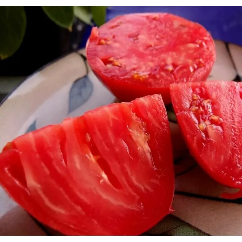 Томат иерусалим. Томат иерусалим. Томат сердце иерусалима. Томат гигантисика. Томат иерусалим.