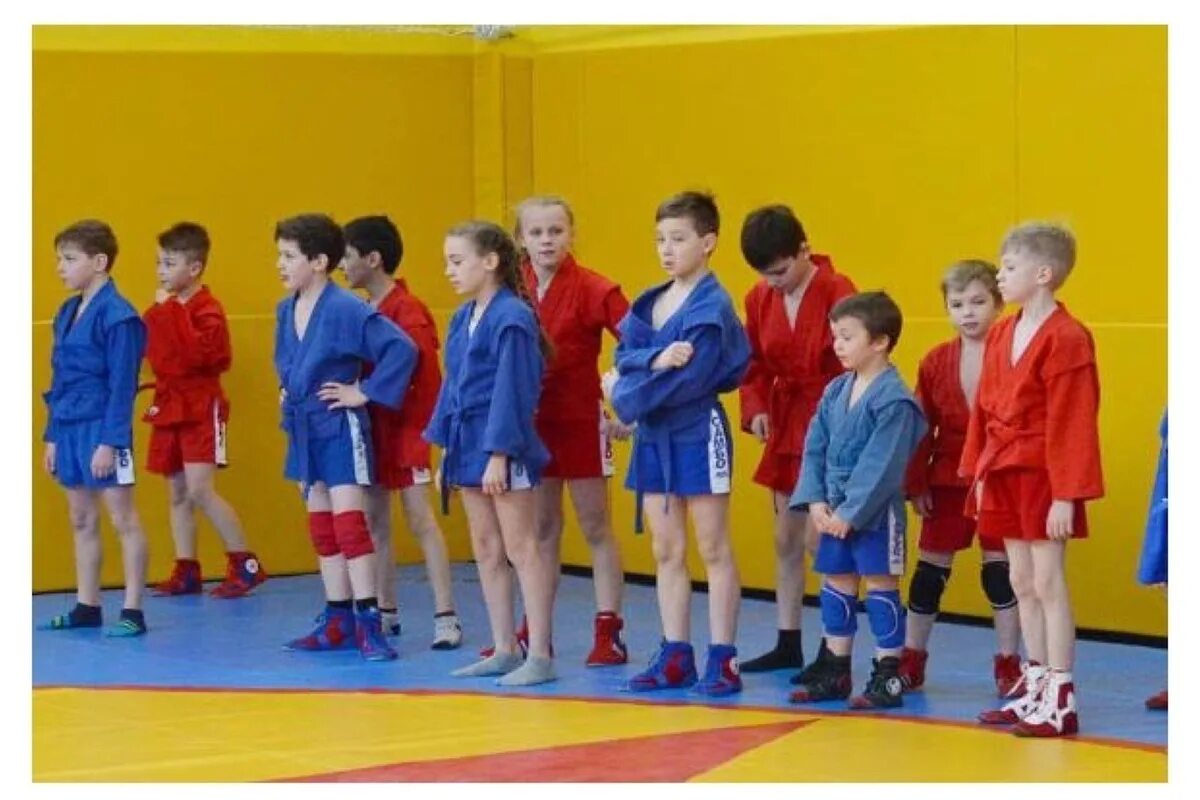 Самбо в школу всероссийский проект. Самбо серпухов 18 школа. самбо школа 19 серпухов. проект самбо в школу.