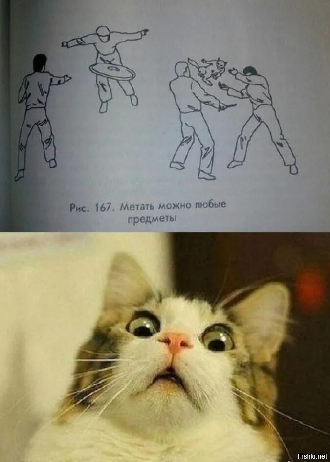 Но можно любые 1. Мемы с кошками. Смешные мемы с котом. Кот Мем. Мемы с котами и надписями.