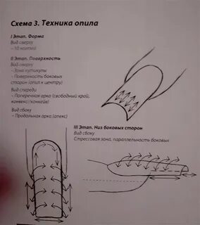 Схема ногтя