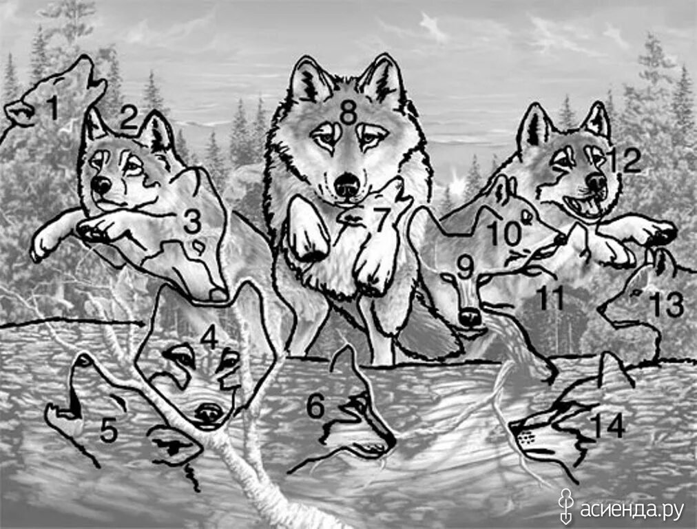 Wolves wolves album