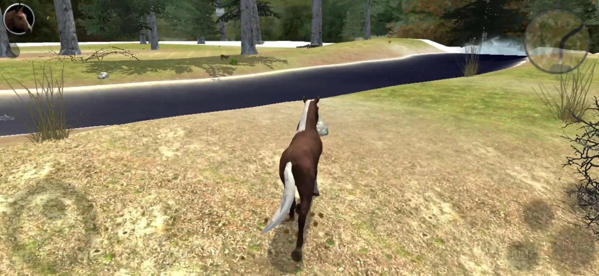 Хорс райдинг. Simulator horse 2. Симулятор лошади 3д. Симулятор лошади. Симулятор лошади в реальной жизни.