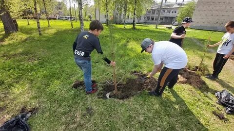 Посадив парке 4 дерева