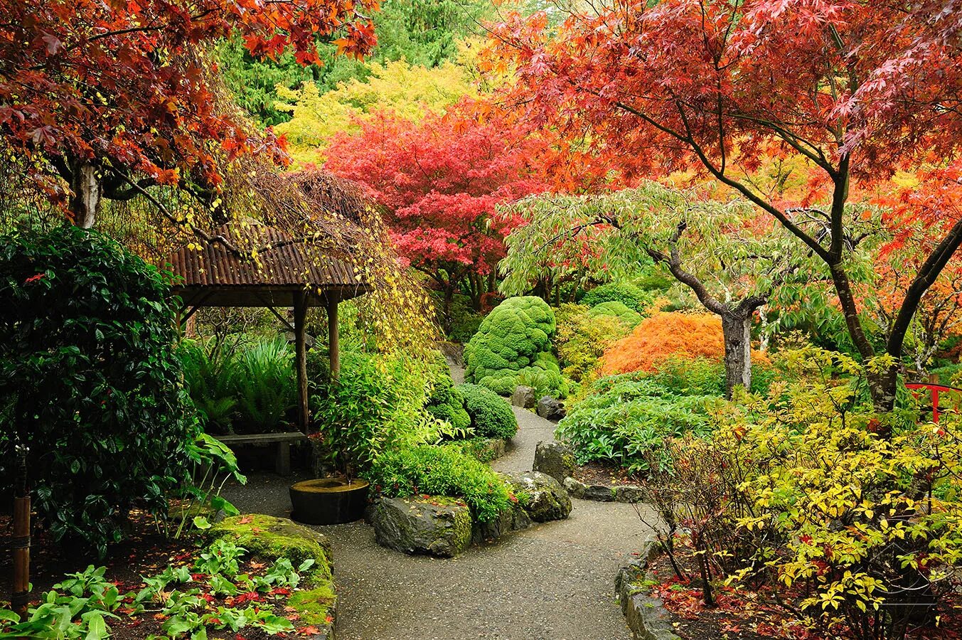 Хаконива сад Япония. Красивый сад. Японский сад. Японский садик. Сады времен значение