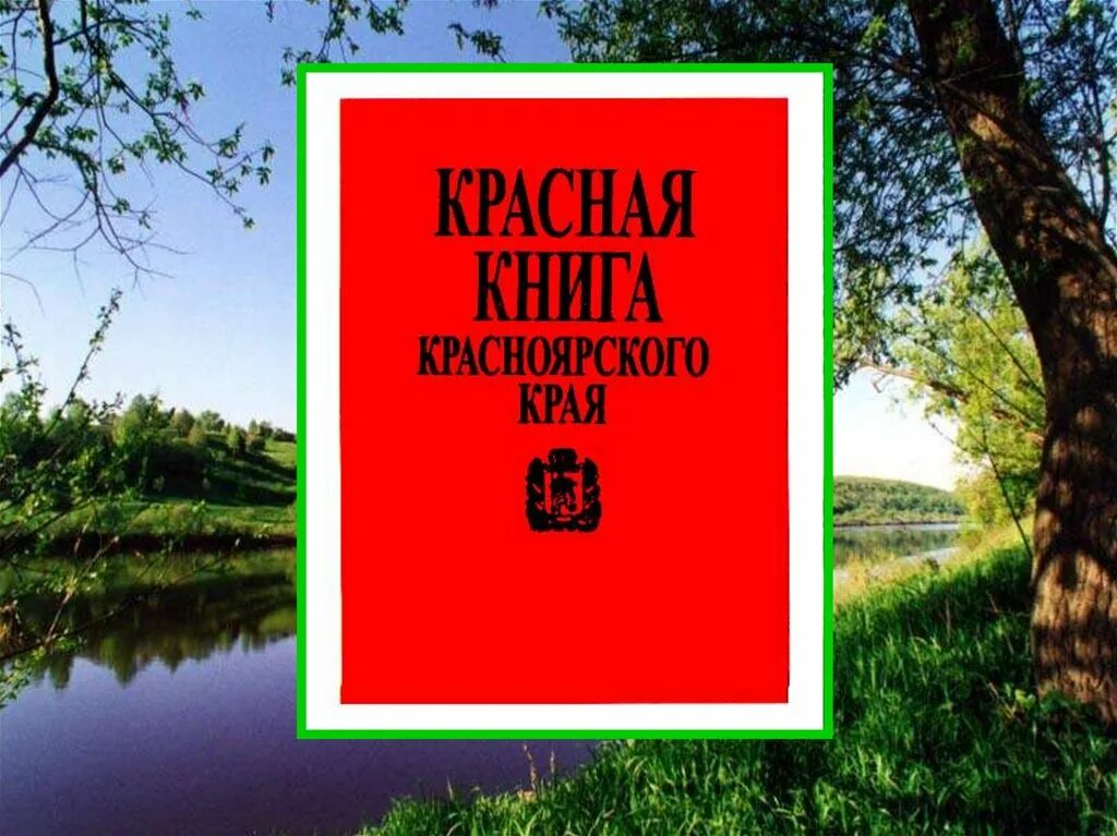 Красная книга Красноярского края обложка. Красная книга Красноярского края книга. Обложка красной книгикраснорскогокра. Животные красной книги Красноярского края. Вода красная книга