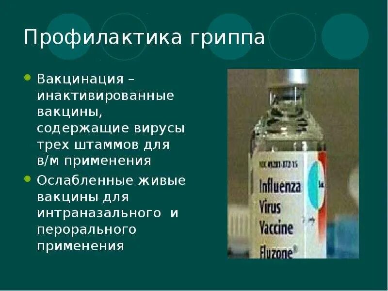 Живыми вакцинами являются. Живые ослабленные вакцины. Живая гриппозная вакцина. Длительность вакцины из живых возбудителей. Инактивированные вакцины содержат.