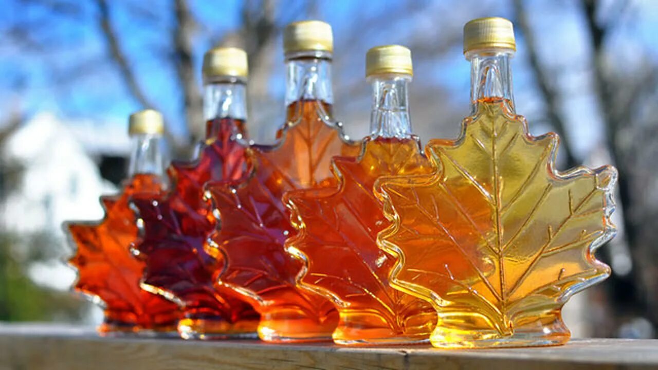 Полезные свойства кленового сока. Кленовый сироп Maple Syrup. Кленовый сироп Канада. Кленовый сок. Пиво с кленовым сиропом.