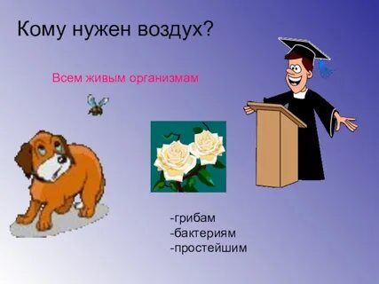 Картинки кому нужен воздух